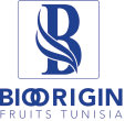 logo-BIOORIGIN-FRUITS-TUNISIA